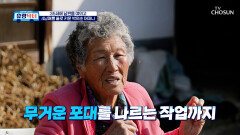 홀로 4남매를 키우며 쉴 틈없이 일한 탓에‍ 굽어버린 어머니의 허리 TV CHOSUN 260102 방송