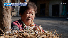 손잡고🤝 어디든 함께 가고 싶은데 통증 때문에 집을 벗어날 수 없는 아내🥺 TV CHOSUN 260110 방송