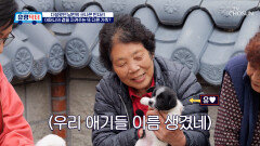 남편의 빈자리를 채워 어머니의 곁을 지켜주는 또 다른 가족 TV CHOSUN 260509 방송