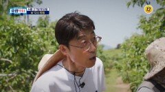 사과밭에서 생긴 일 그 결말은?_유랑닥터 65회 예고 TV CHOSUN 260627 방송