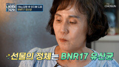 🤍BNR17🤍 탄수화물 흡수를 억제하고‍️ 비만의 덫에서 탈출하는 비결 TV CHOSUN 260703 방송