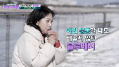 블루베리 콜레스트롤 수치는 낮추고⬇ 혈관 노화도 멈추는 눈 건강의 비결 TV CHOSUN 260203 방송