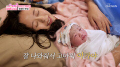 씩씩한 울음소리 오랜 진통 끝에 무사히 태어난 콩콩이 TV CHOSUN 251028 방송 씩씩한 울음소리 오랜 진통 끝에 무사히 태어난 콩콩이 TV CHOSUN 251028 방송