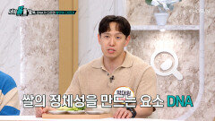 영양소 가득 맛있는 쌀 품종 고르는 꿀팁 공개🤗 TV CHOSUN 251103 방송