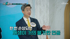 되돌릴 수 없는 연골 손상 행복한 노년을 위한 관절염의 골든타임 TV CHOSUN 260202 방송