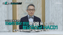 🤍혈당 유산균 HAC01🤍 장 건강 개선과 당뇨 예방의 첫걸음 TV CHOSUN 260223 방송