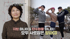 알파CD 먹는 걸 멈출 수 없다면? 지방 쏙 빼는 다이어트 TV CHOSUN 260124 방송