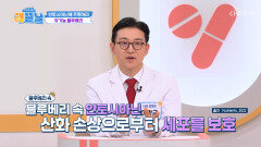 블루베리 강력한 항산화 성분으로 활성산소 막아주는 방패막 TV CHOSUN 251120 방송
