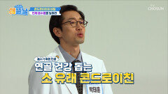 콘드로이친 흡수율은⬆ 염증은⬇ 나만의 무릎 지킴이🦵 TV CHOSUN 251211 방송