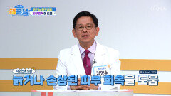 블루베리 손상된 피부 회복하고 노화 그만 멈춰 TV CHOSUN 251216 방송