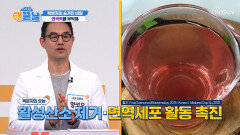 복분자 콜레스테롤 낮추고⬇ 활성산소 타파 TV CHOSUN 251230 방송