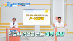 여주 분말 혈당 낮춰서⬇ 당뇨병과 합병증 예방하는 비결 TV CHOSUN 260428 방송