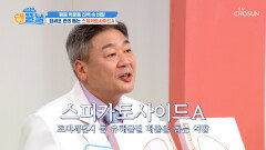 🤎볶음 맥문동 진액🤎 폐 점막을 촉촉하게 하고 독소를 차단해 주는 필터 TV CHOSUN 260618 방송