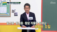 올리브오일 혈관을 깨끗하게 청소하고🧹 염증 완화까지 TV CHOSUN 251114 방송