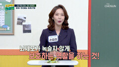 올리브오일 염증 억제하고⬇ 뇌 노화 늦추는🧠 건강 비결 TV CHOSUN 251205 방송