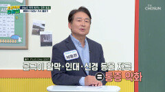 바늘로 콕콕 찌르는 듯한 통증 중년 여성을 괴롭히는 퇴행성관절염🦴 TV CHOSUN 251212 방송