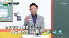 블루베리 노화 속도를 늦춰줄↘ 튼튼한 항산화 방패 TV CHOSUN 251226 방송