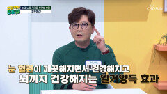 블루베리 눈과 뇌를🧠 동시에 지켜주는 보랏빛 방패 TV CHOSUN 260313 방송