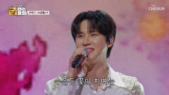 ⭐누가 이렇게 눈부셔⭐ 어떤 불빛보다 환하게 빛나는 혁진의 ‘수은등’ TV CHOSUN 251226 방송