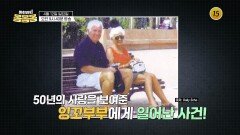 50년의 사랑을 보여준 잉꼬부부에게 일어난 사건!_하희라의 몸몸몸 6회 예고 TV CHOSUN 260412 방송