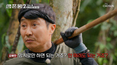 나무 구조만 봐도 견적이 딱 정글神 병만의 상자 깨기🪓 전략은? TV CHOSUN 260610 방송