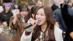 쏟아지는 앵콜 세례 속초를 콘서트장 1열로 만든 ‘돌리도’ TV CHOSUN 260312방송