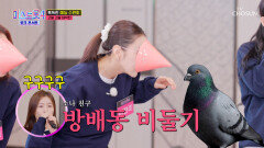 모두 비둘기가 돼 속초에서 펼쳐지는 의자 혈투🪑 TV CHOSUN 260312방송