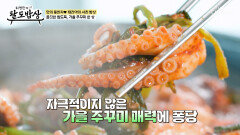 가을에 꼭 먹어야 하는 필수 음식 주꾸미철판볶음 TV CHOSUN 251029 방송