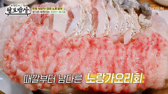 신선함 끝판왕 인천 앞바다 산지 직송 민어&노랑가오리 회 코스 TV CHOSUN 260211 방송