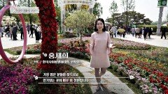 K-플라워의 면모를 보여주는 「고양시 꽃박람회」 | JTBC 230605 방송