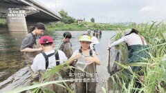 오염 하천에서 생태 체험 장소로! 되살아난 '안양천' | JTBC 260103 방송