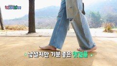 낭만적인 메타세쿼이아 풍경 아래에서 즐기는 맨발 걷기 | JTBC 260502 방송