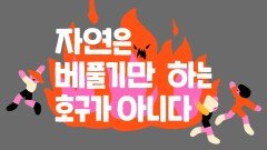 JTBC Tomorrow 캠페인 | 지구의 색깔을 돌려주자 : 자연편