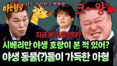 여기가 ＜아는 형님＞이야, 정글이야? 야생동물(?)들과 함께하는 아형ㅋㅋ | JTBC 260124 방송