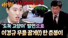 대한민국 힐링시키는 고양이인데...! 이경규가 춘봉이 첨지에게 사과한 이유 ㄷㄷ | JTBC 260228 방송