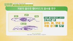 남다른 흡수율을 자랑하는 ＂저분자 콜라겐 펩타이드＂ | JTBC 220915 방송