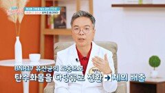 탄수화물 못 참지 식후 BNR17 섭취로 단당류를 물리쳐라! | JTBC 240725 방송