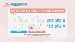 혈당 관리까지?! 인슐린 조절을 돕는 'BNR17 유산균' | JTBC 241114 방송