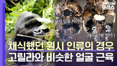 채식 인류 치아가 더 크다?!🦷 정수리 위까지 발달된 얼굴 근육️ | JTBC 230528 방송