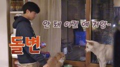 [미공개] 미달이한테 단호한 박보검(!) 카리스마↗↗