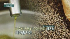 황금 비율 대마종자유 속 풍부한 불포화 지방산 | JTBC 220925 방송