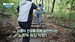 [노르딕 워킹] 지팡이를 활용하여 네 발로 걷는 방식‍️ | JTBC 230924 방송