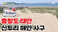 [국내] 한국에 있는 사막? 태안에서 만나는 '신두리 해안 사구'