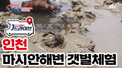 [국내] 근거리 여행 인천으로 떠나 체험하는 특별한 갯벌 조개 캐기⛏