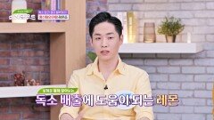항산화의 여왕 레몬즙, 독소 배출에도 도움이 된다!? | JTBC 240724 방송
