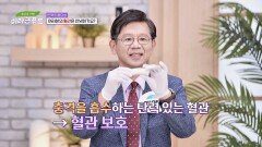 탄력성이 높아야 혈관이 보호된다?! 혈관 건강까지 돕는 '콜라겐'🥰 | JTBC 241016 방송