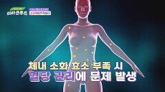 중년 건강을 위해 파로 효소에 주목해야 하는 이유 → '소화력' | JTBC 241127 방송