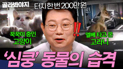 ＂네가 왜 거기서 나와..?＂ 엘리베이터 타고 내려온 고라니?! 심장이 쿵 내려앉는 동물농장 블박 모음 | 한블리 (한문철의 블랙박스 리뷰) | JTBC 250304 방송 외