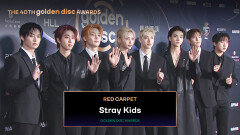 [골든디스크 레드카펫] Stray Kids (스트레이 키즈)｜The 40th Golden Disc Awards