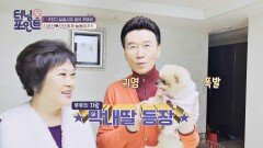김효선강진 부부의 막내도 섭취하는 BNR17 유산균 | JTBC 220204 방송